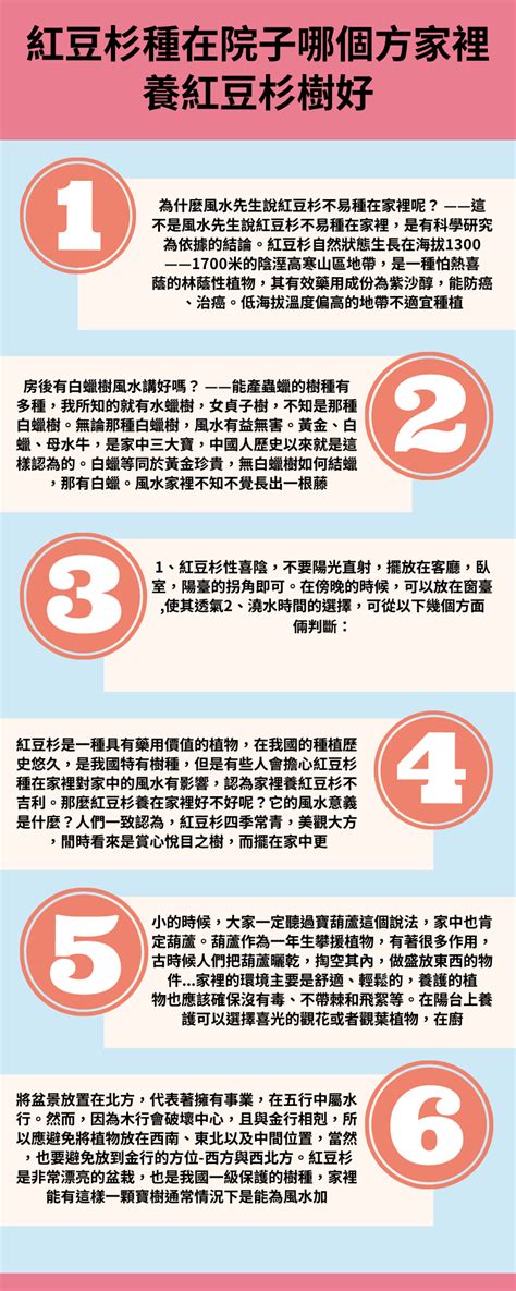 家裡放乾燥花好嗎|乾燥花能放客廳嗎？風水中不可不知的乾燥花居家擺放原則 